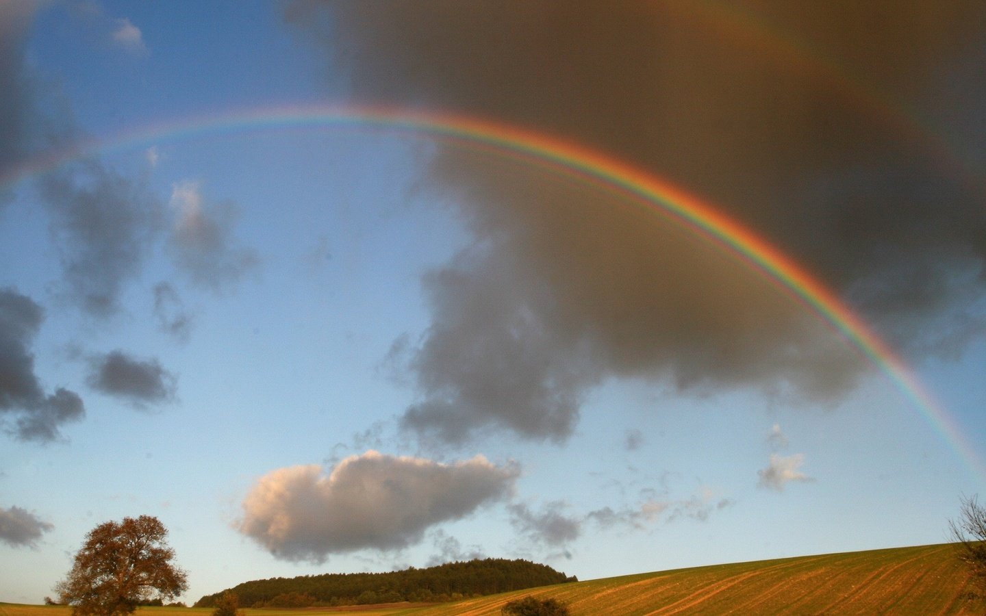 Обои облака, деревья, поле, радуга, clouds, trees, field, rainbow разрешение 1920x1440 Загрузить