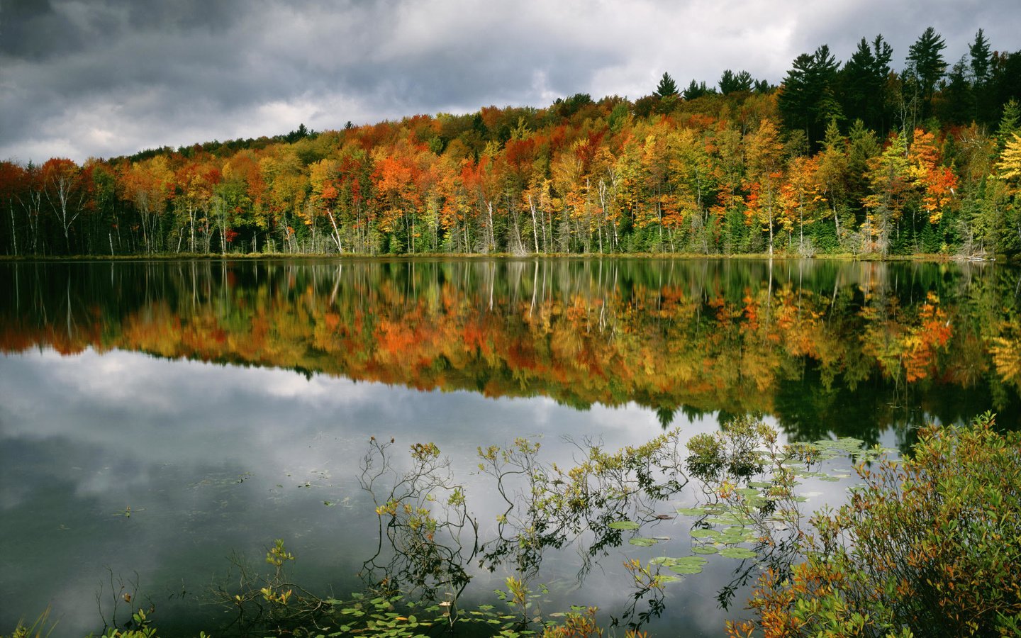 Обои деревья, вода, лес, отражение, осень, trees, water, forest, reflection, autumn разрешение 2000x1333 Загрузить