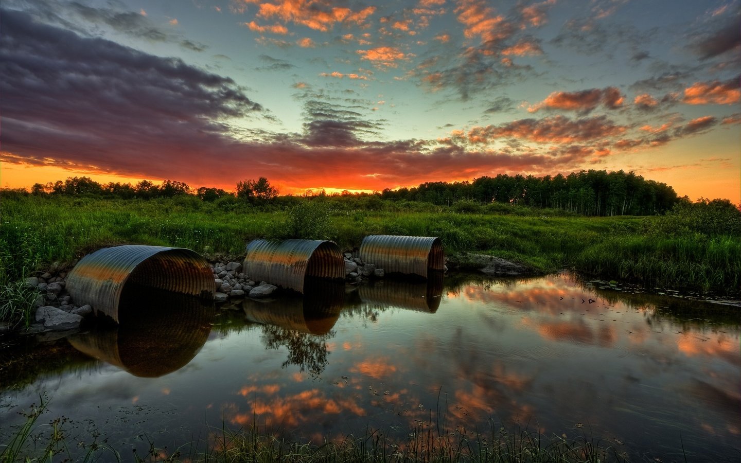 Обои небо, лес, болото, закат, the sky, forest, swamp, sunset разрешение 2560x1600 Загрузить