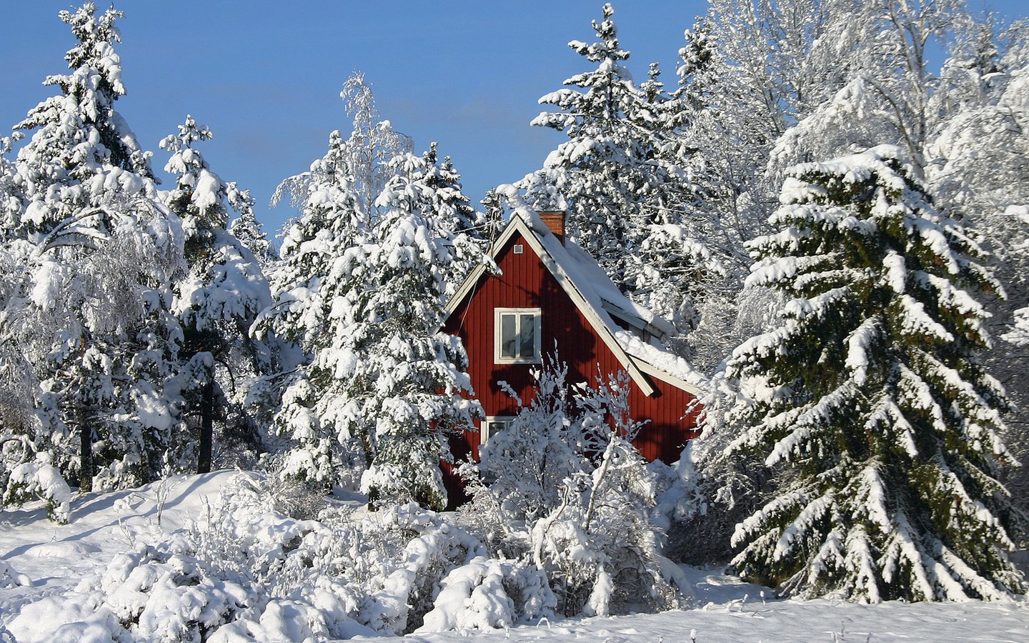 Обои деревья, зима, дом, trees, winter, house разрешение 1920x1200 Загрузить