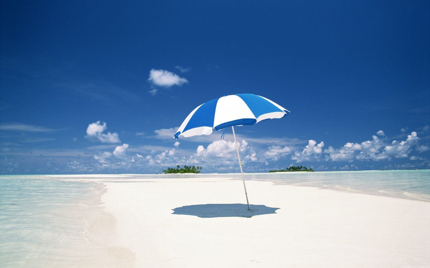 Обои небо, пляж, океан, зонтик, тропики, облако. голубой, the sky, beach, the ocean, umbrella, tropics, cloud. blue разрешение 1920x1200 Загрузить