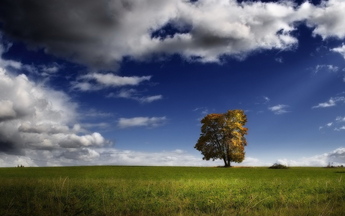 Обои облака, дерево, поле, clouds, tree, field разрешение 1920x1440 Загрузить