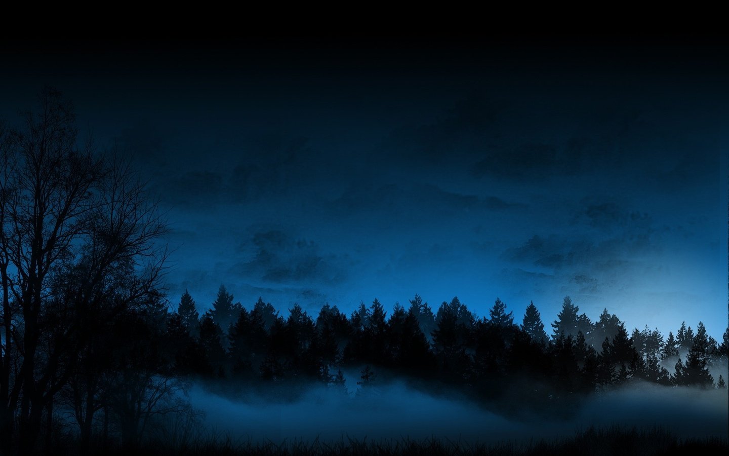 Обои ночь, лес, туман, night, forest, fog разрешение 1920x1200 Загрузить