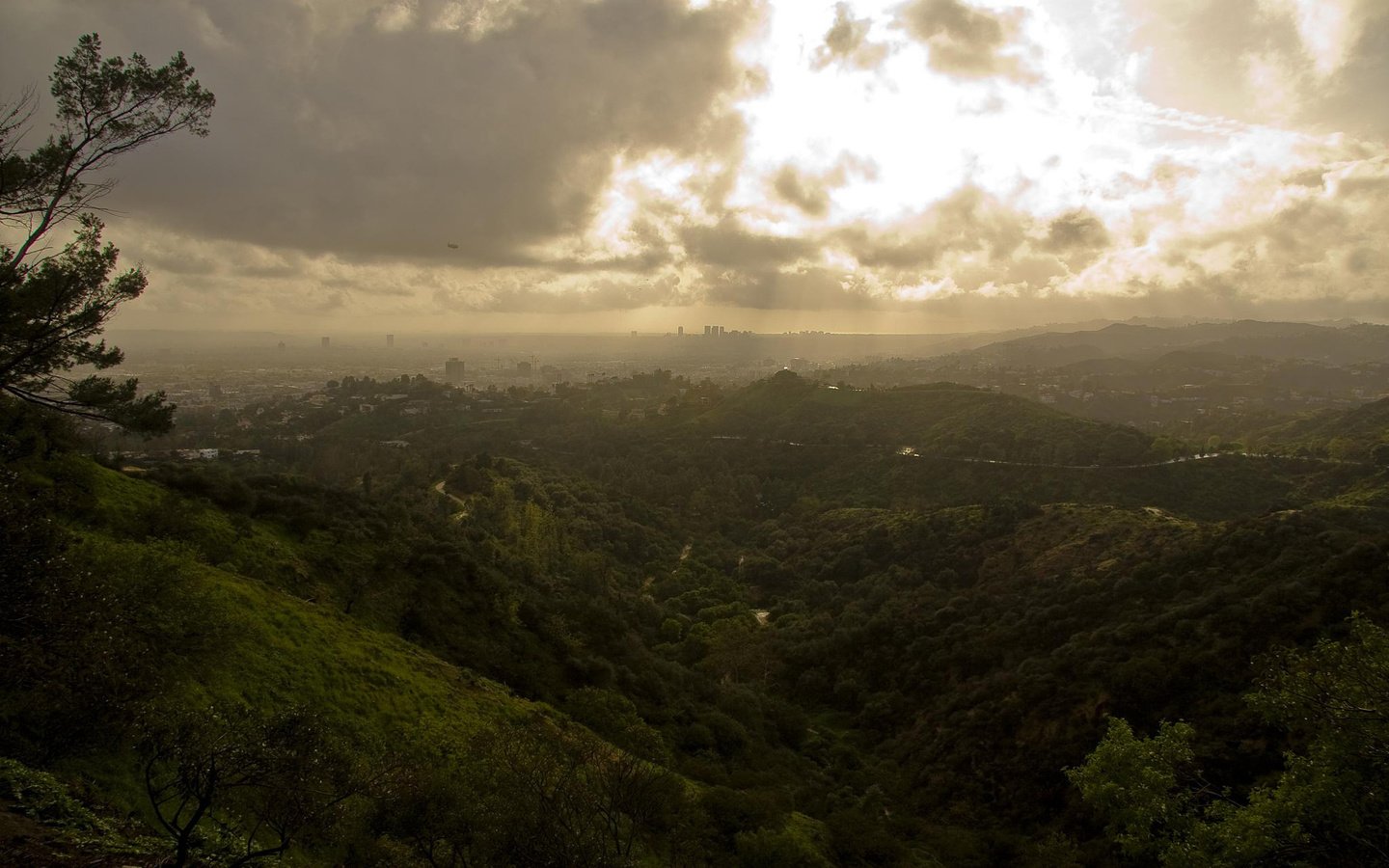 Обои облака, зелень, griffith park, лос анджелес, clouds, greens, los angeles разрешение 1920x1200 Загрузить