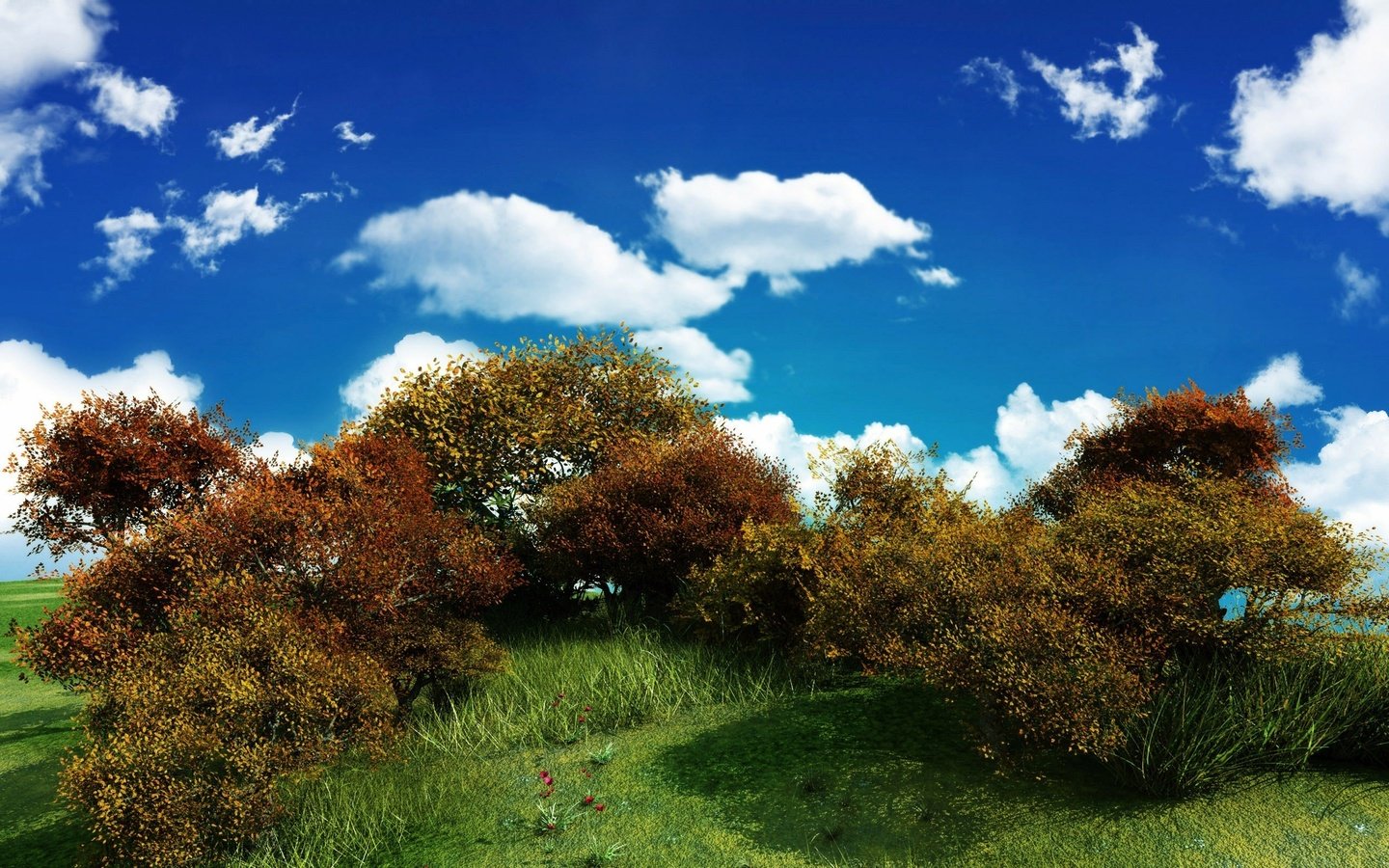 Обои небо, облака, зелень, куст, the sky, clouds, greens, bush разрешение 2560x1600 Загрузить