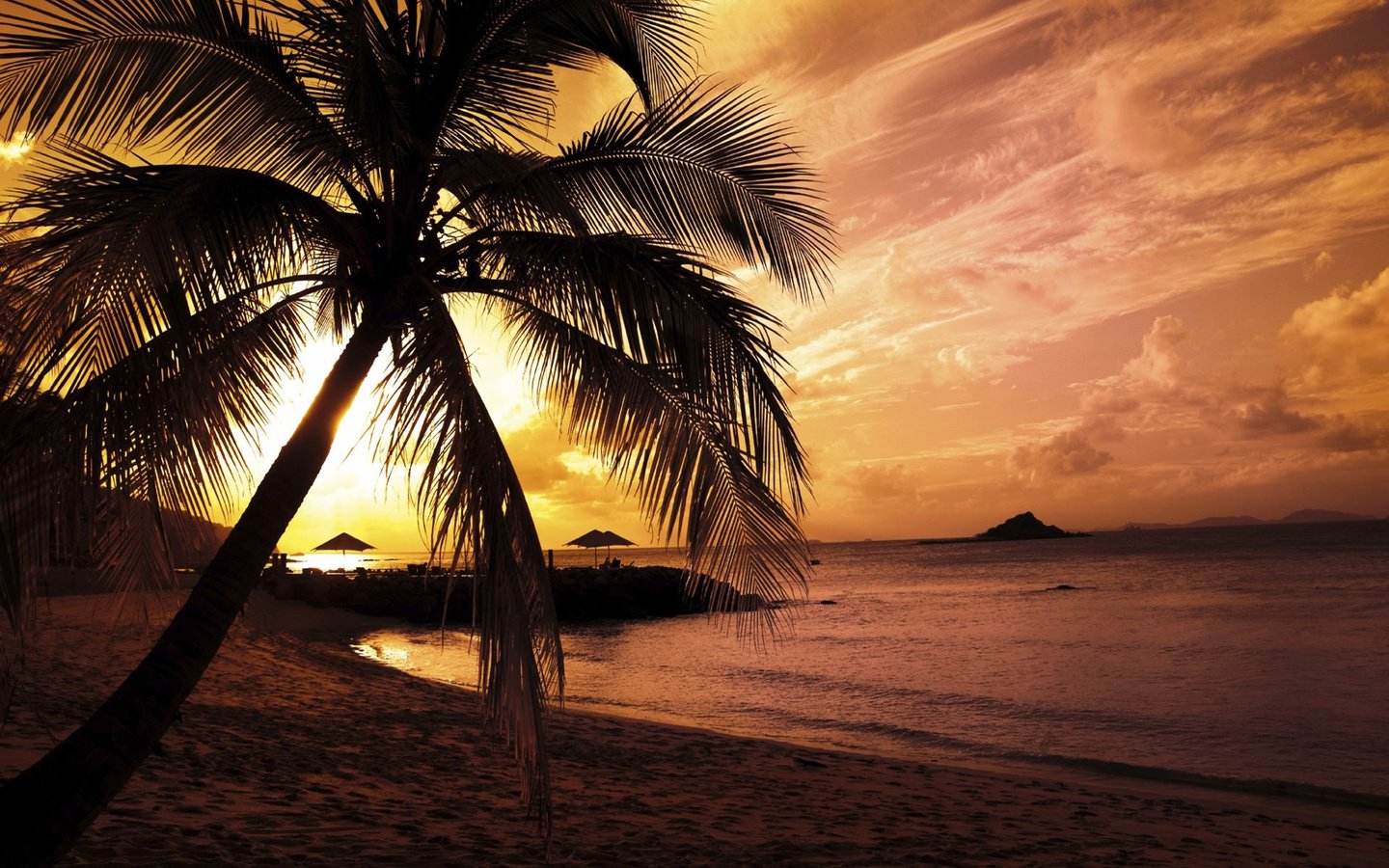 Фон пляж пальмы