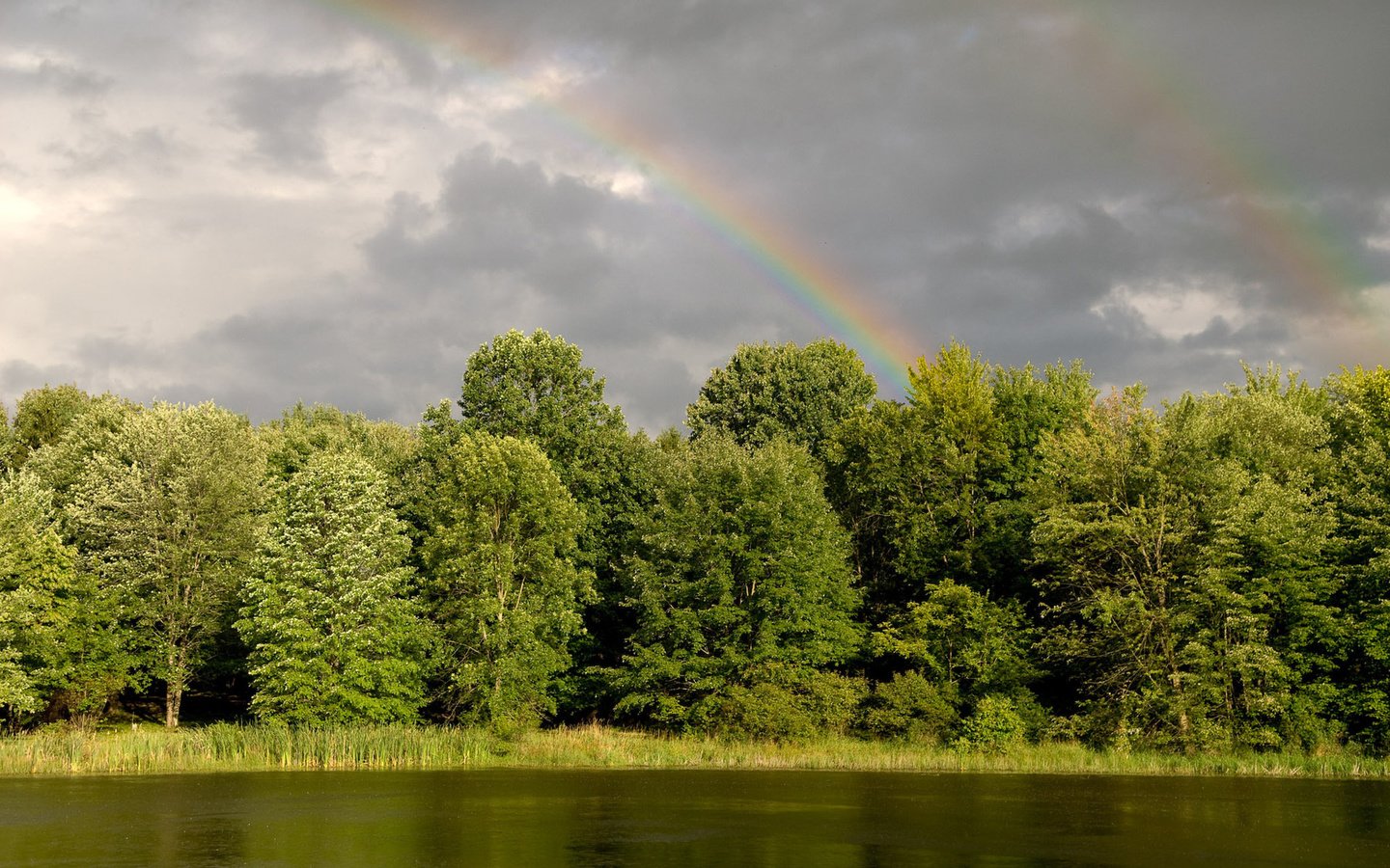 Обои деревья, вода, река, зелень, лес, радуга, trees, water, river, greens, forest, rainbow разрешение 1920x1200 Загрузить