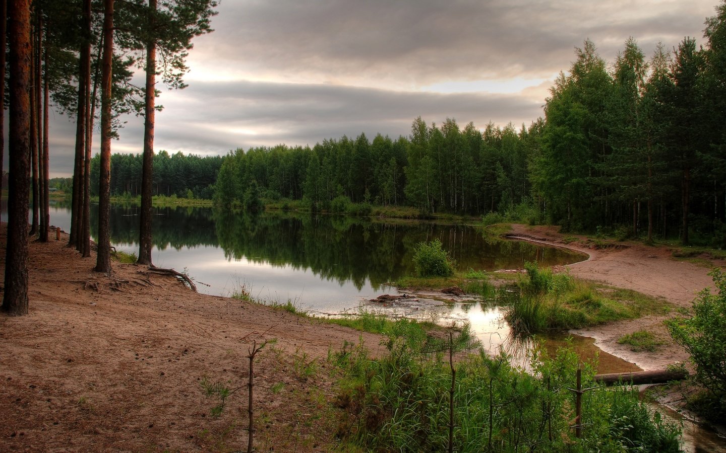 Обои небо, лес, водоем, the sky, forest, pond разрешение 2560x1600 Загрузить