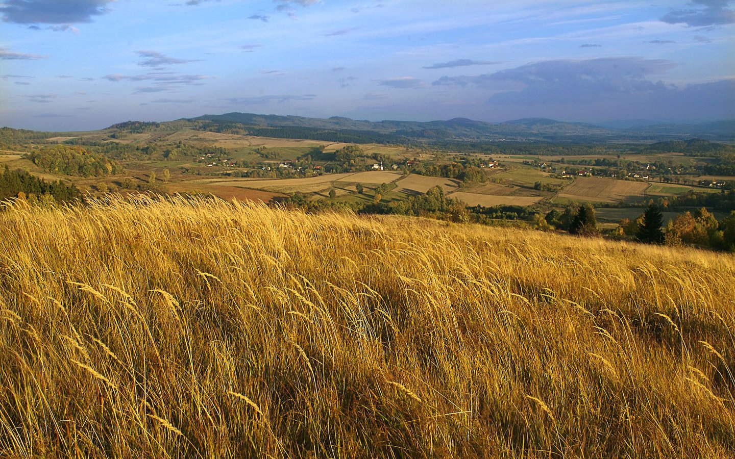 Обои небо, облака, холмы, природа, пейзаж, поле, колосья, польша, the sky, clouds, hills, nature, landscape, field, ears, poland разрешение 1920x1200 Загрузить