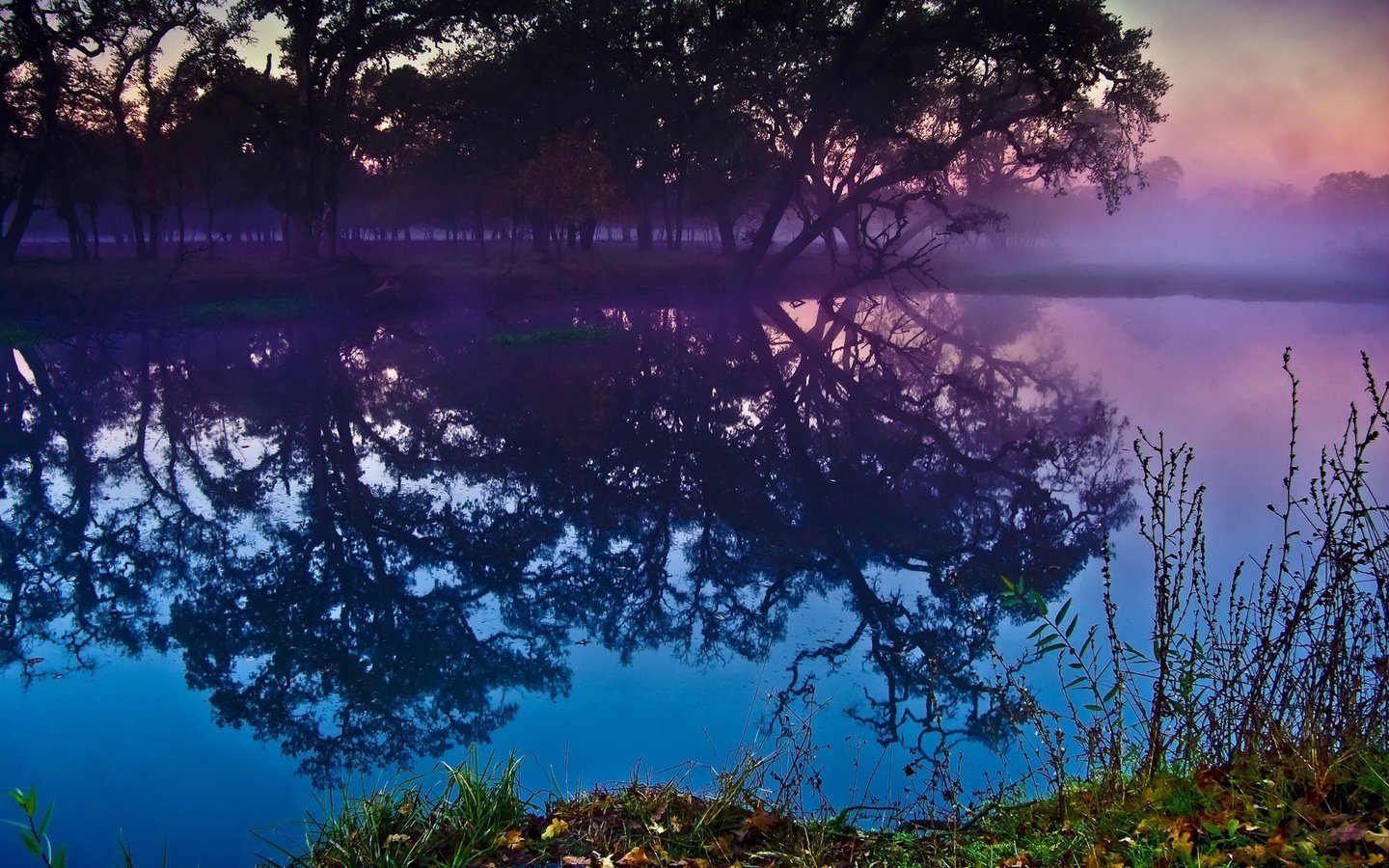 Обои деревья, река, лес, закат, отражение, trees, river, forest, sunset, reflection разрешение 1920x1200 Загрузить