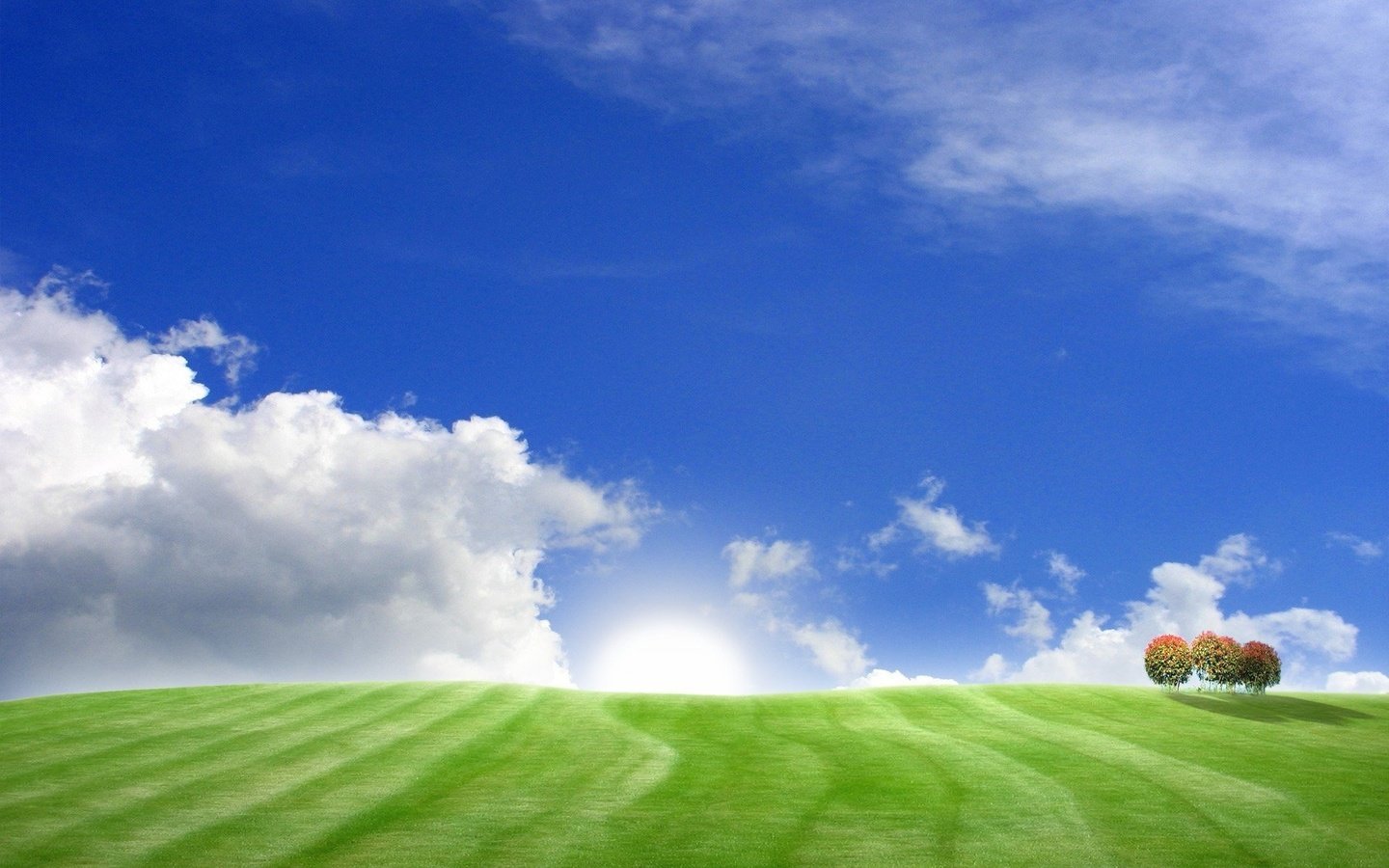 Обои небо, трава, деревья, холмы, поля, поле, пейзажи, the sky, grass, trees, hills, field, landscapes разрешение 1920x1200 Загрузить