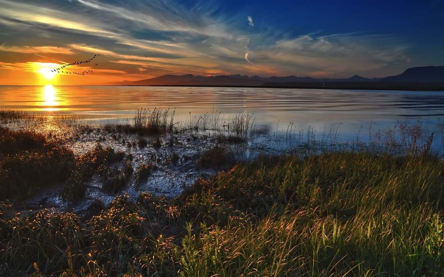 Обои вода, закат, птицы, water, sunset, birds разрешение 1920x1080 Загрузить