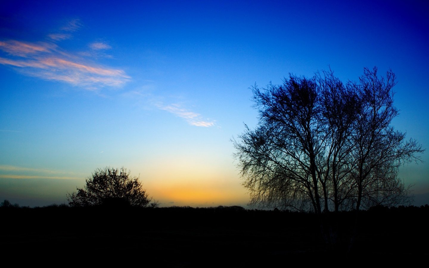 Обои дерево, куст, перистые облака, конец дня, tree, bush, cirrus clouds, the end of the day разрешение 1920x1200 Загрузить