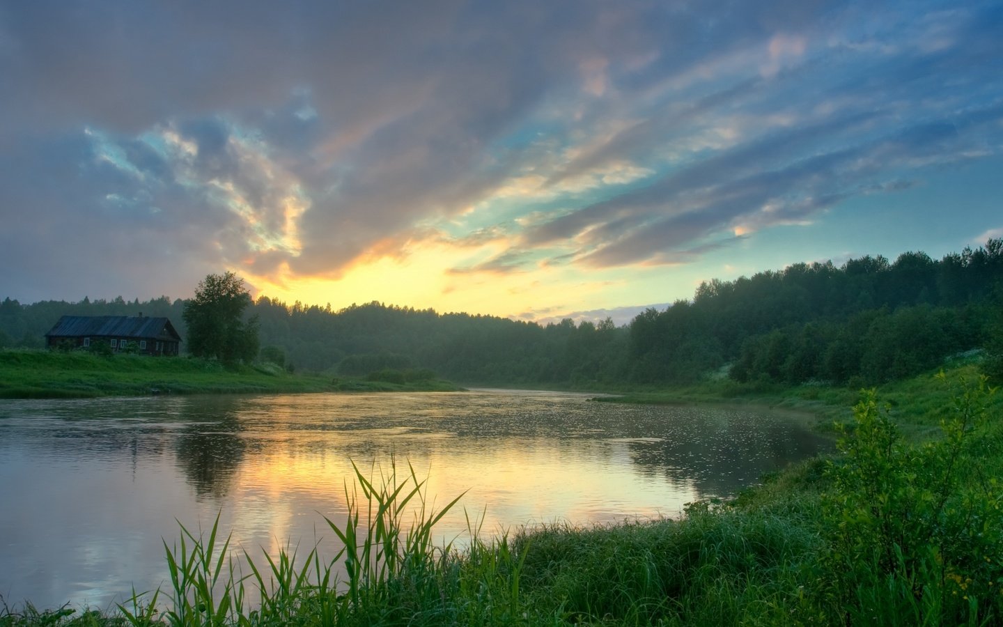 Обои трава, озеро, лес, отражение, grass, lake, forest, reflection разрешение 1920x1080 Загрузить