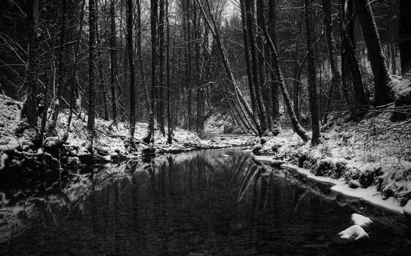 Обои лес, зима, чёрно-белое, водоем, чёрно-бело, forest, winter, black and white, pond разрешение 2560x1600 Загрузить