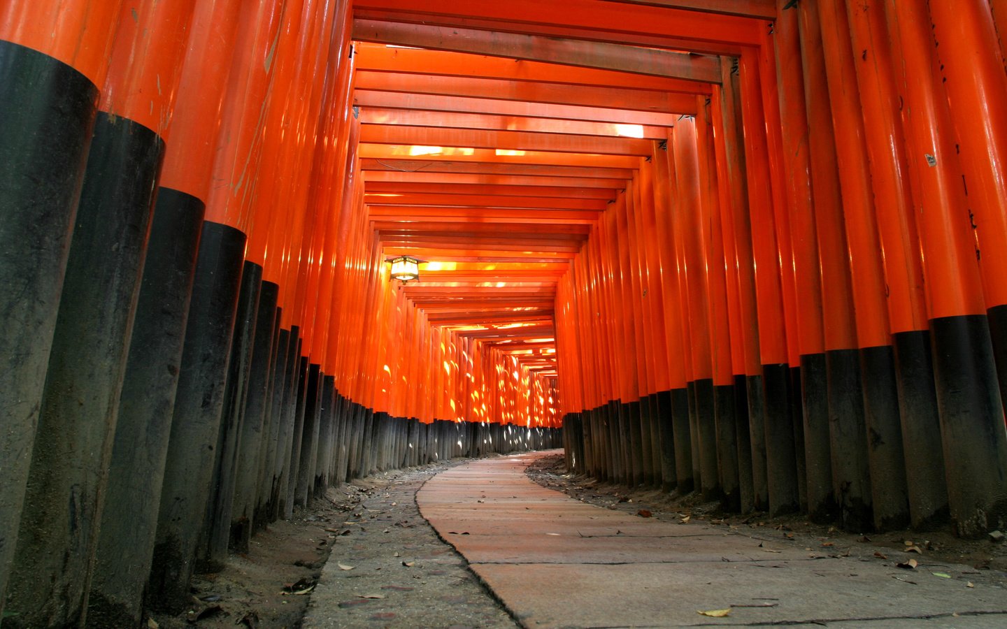 Обои дерево, храм, черный, красный, япония, синтоизм, tree, temple, black, red, japan, shinto разрешение 2560x1600 Загрузить