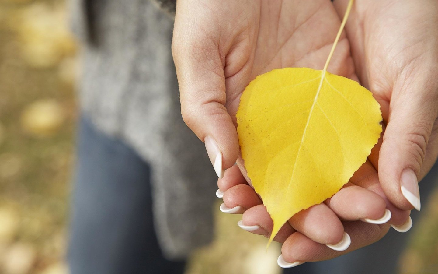 Обои желтый, макро, осень, лист, руки, опавший, ладони, yellow, macro, autumn, sheet, hands, fallen, palm разрешение 1920x1200 Загрузить