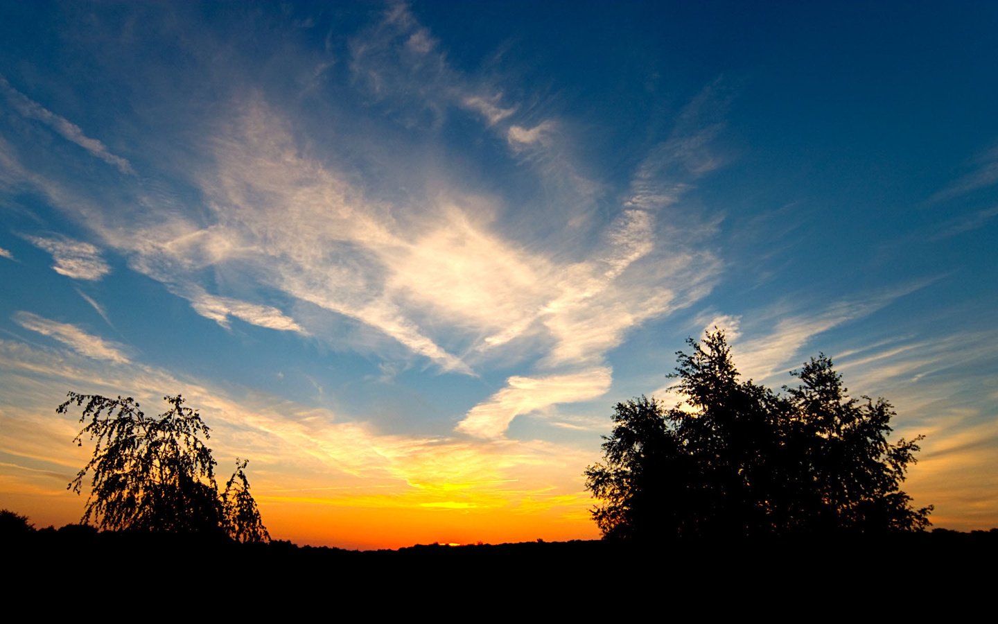 Обои облака, деревья, закат, clouds, trees, sunset разрешение 1920x1200 Загрузить