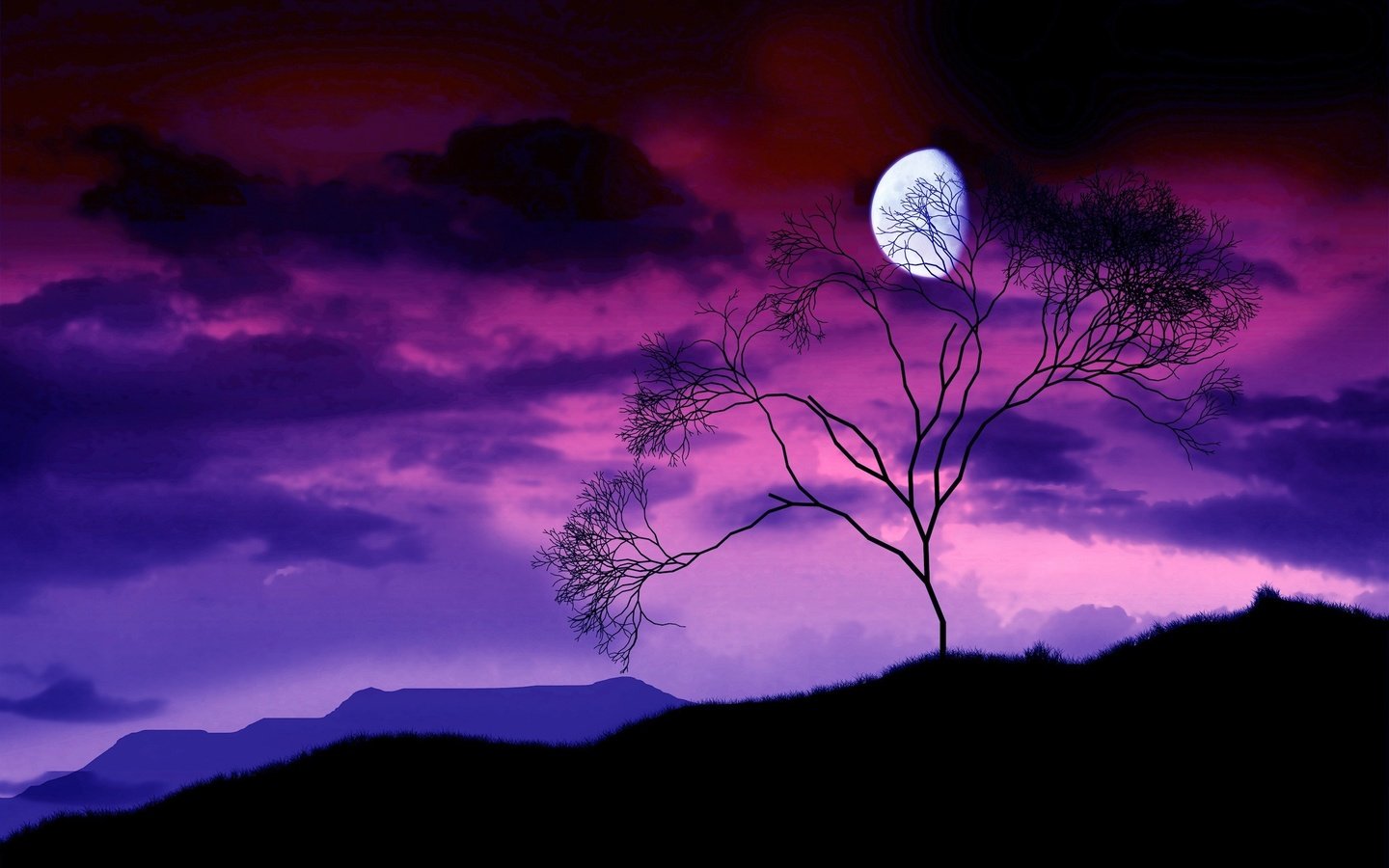 Обои ночь, дерево, ветки, луна, night, tree, branches, the moon разрешение 2560x1600 Загрузить