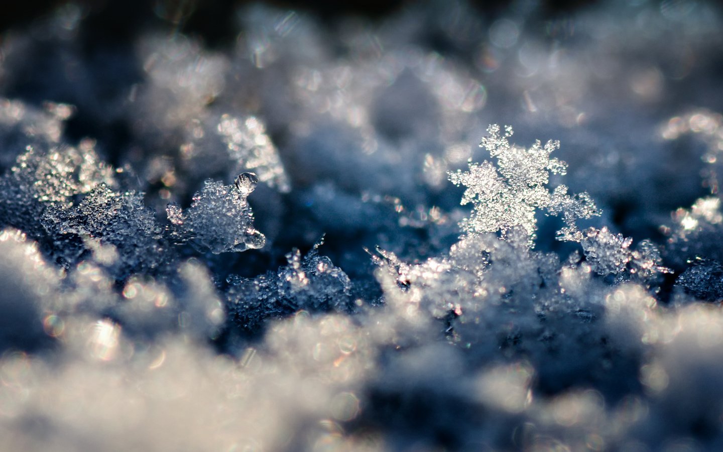 Обои снег, обои, зима, макро, снежинки, фото, фон, snow, wallpaper, winter, macro, snowflakes, photo, background разрешение 2560x1600 Загрузить