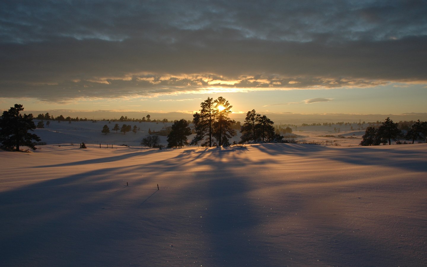 Обои деревья, снег, закат, зима, trees, snow, sunset, winter разрешение 1920x1200 Загрузить