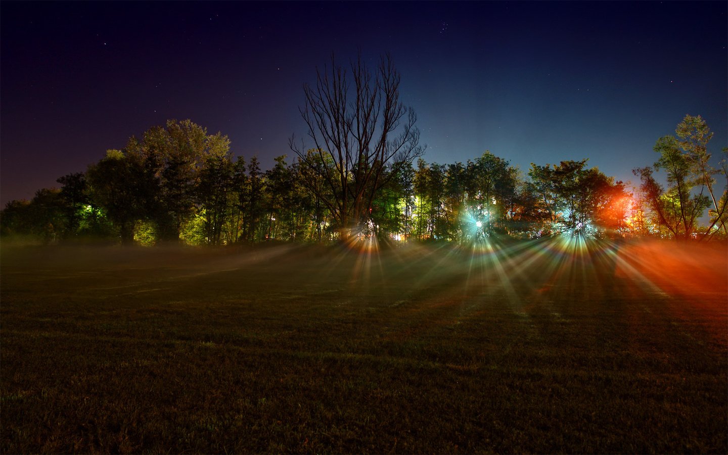 Обои свет, леса, ночь, деревья, огни, фото, лучи, поле, пейзажи, light, forest, night, trees, lights, photo, rays, field, landscapes разрешение 1920x1200 Загрузить