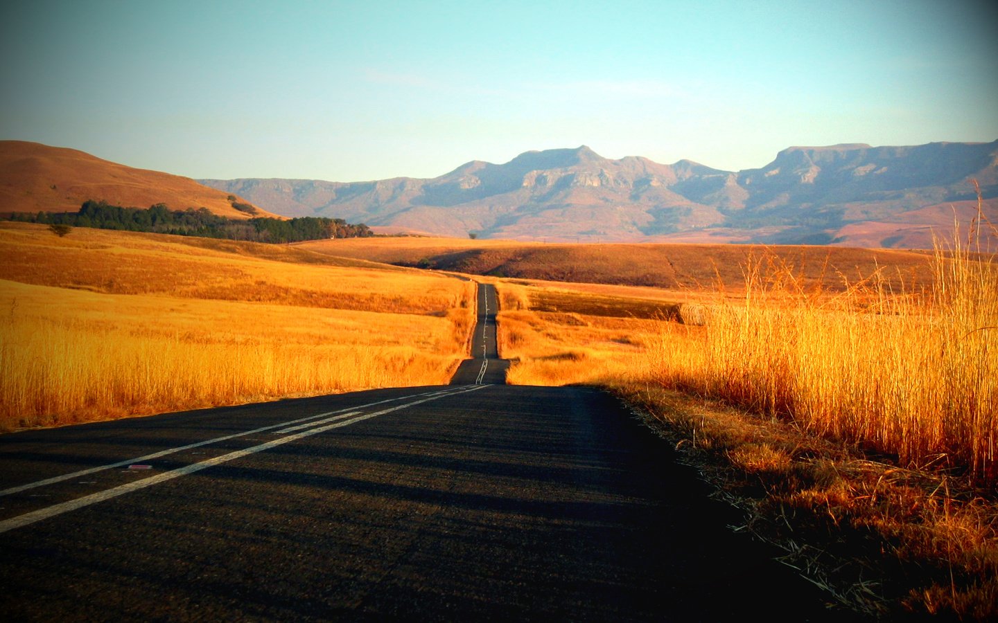 Обои дорога, трава, фото, пейзажи, красота, путь, дороги, road, grass, photo, landscapes, beauty, the way разрешение 1920x1200 Загрузить