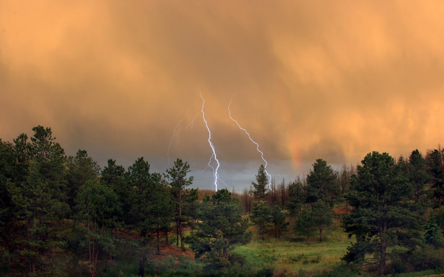 Обои лес, тучи, молния, forest, clouds, lightning разрешение 2560x1600 Загрузить