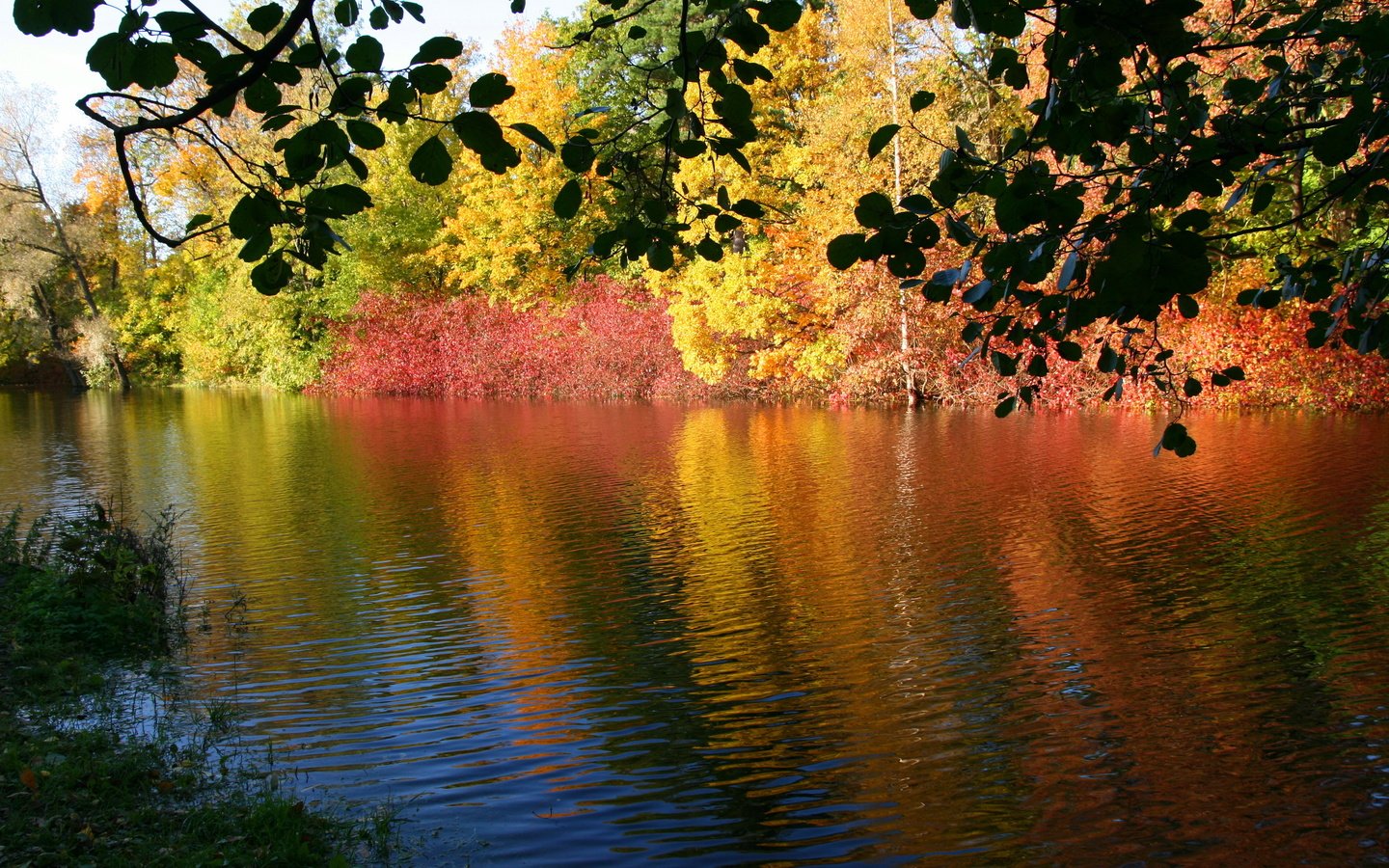 Обои река, природа, осень, river, nature, autumn разрешение 3671x2468 Загрузить