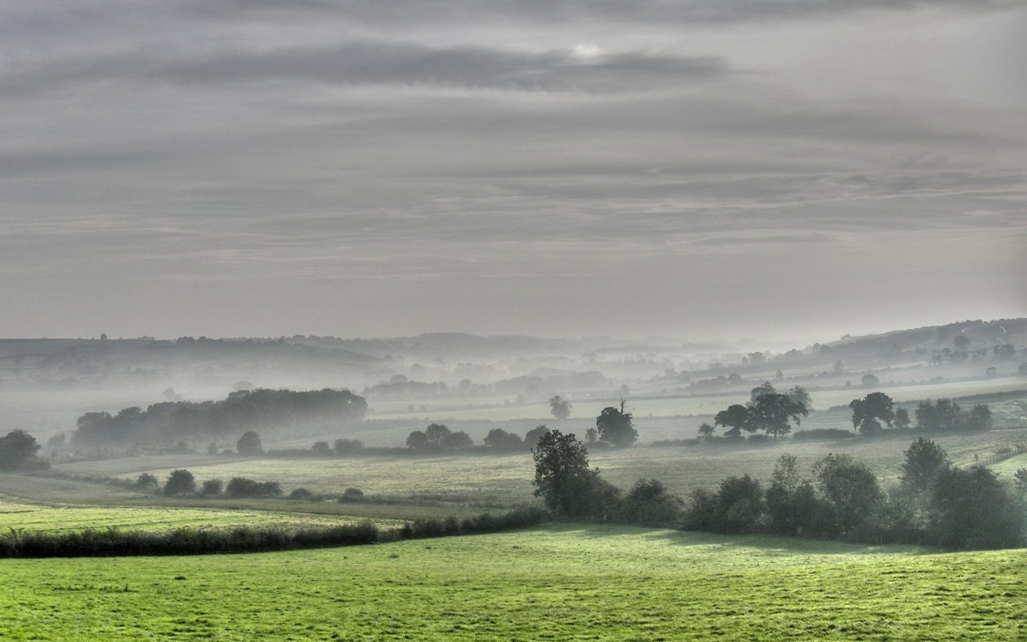 Обои деревья, поля, туман, trees, field, fog разрешение 1920x1440 Загрузить