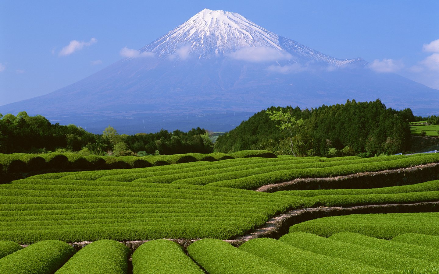 Обои гора, япония, фудзи, mountain, japan, fuji разрешение 2560x1600 Загрузить