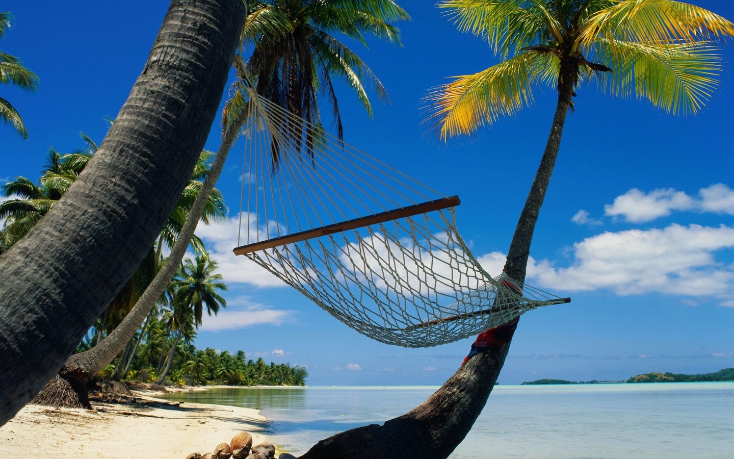 Обои пальмы, релакс, гамак, лагуна, palm trees, relax, hammock, laguna разрешение 4096x3337 Загрузить