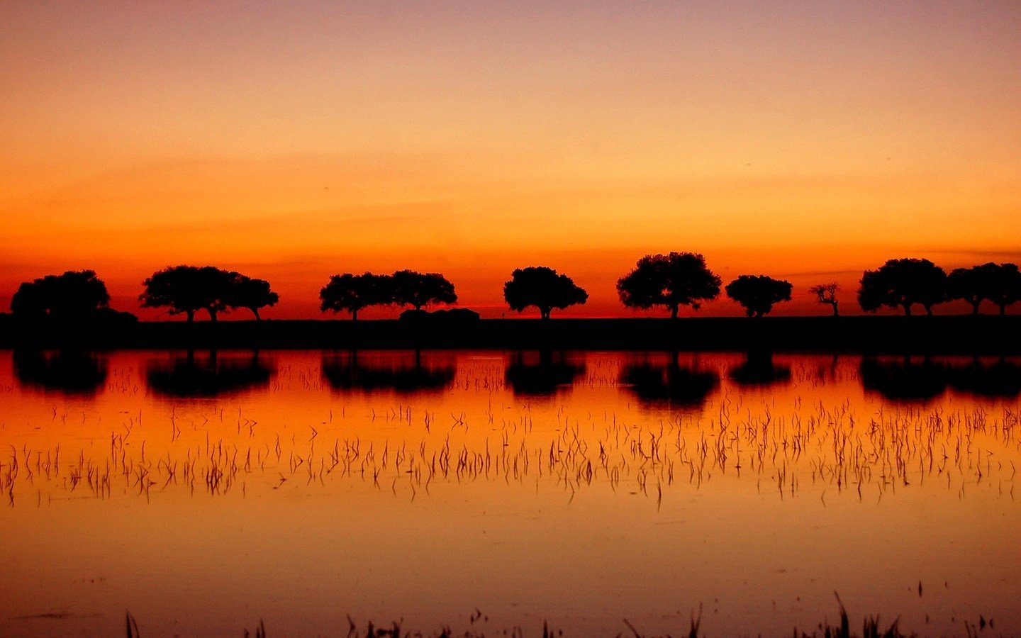 Обои деревья, озеро, закат, отражение, trees, lake, sunset, reflection разрешение 1920x1200 Загрузить