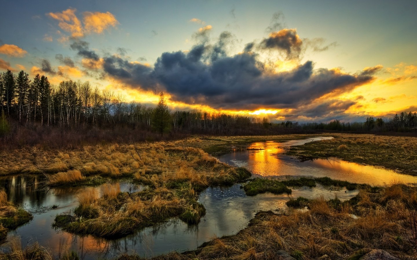 Обои трава, облака, вода, природа, болото, закат, тучи, ручей, grass, clouds, water, nature, swamp, sunset, stream разрешение 2560x1600 Загрузить