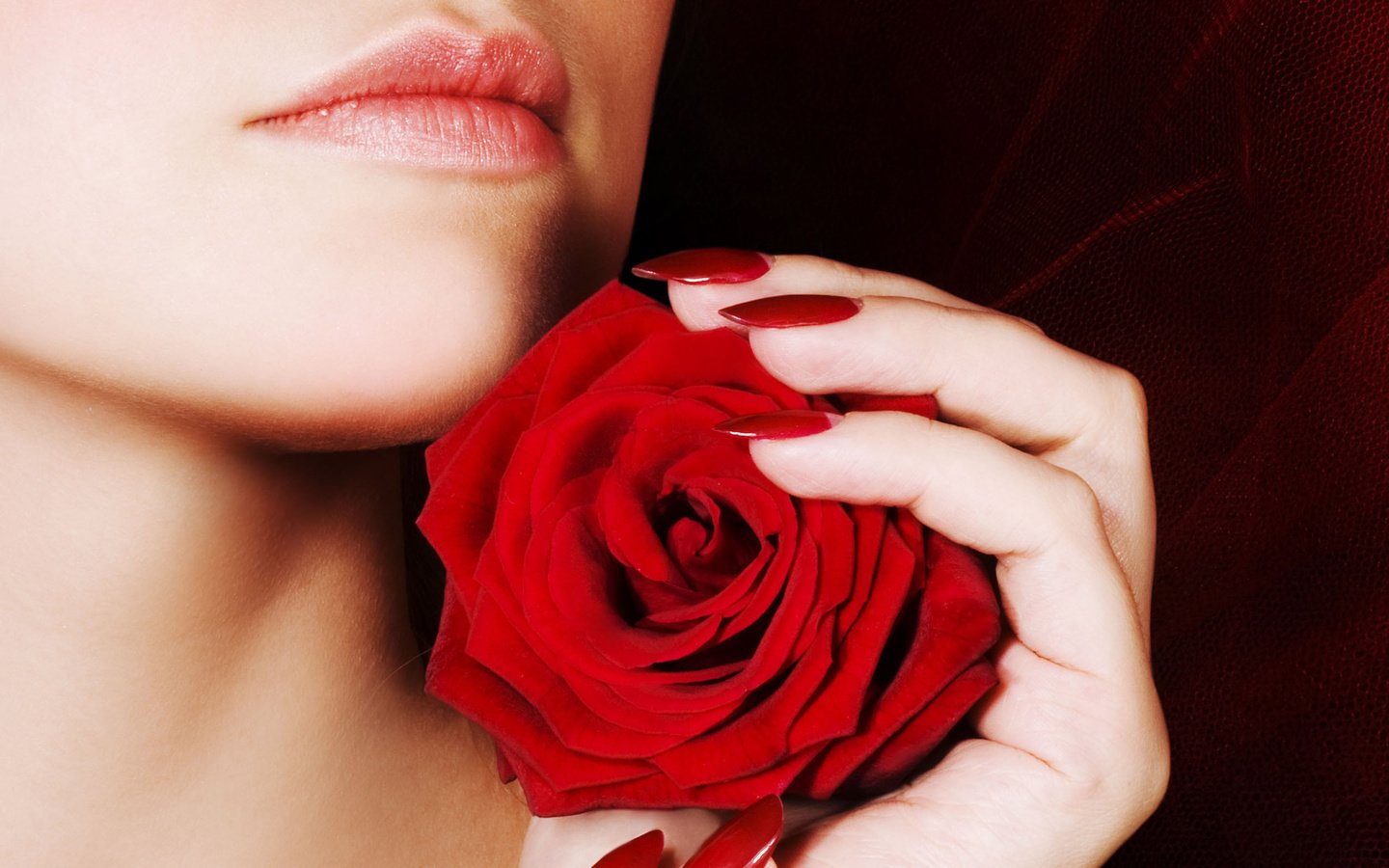 Обои девушка, роза, губы, ногти, girl, rose, lips, nails разрешение 2560x1600 Загрузить