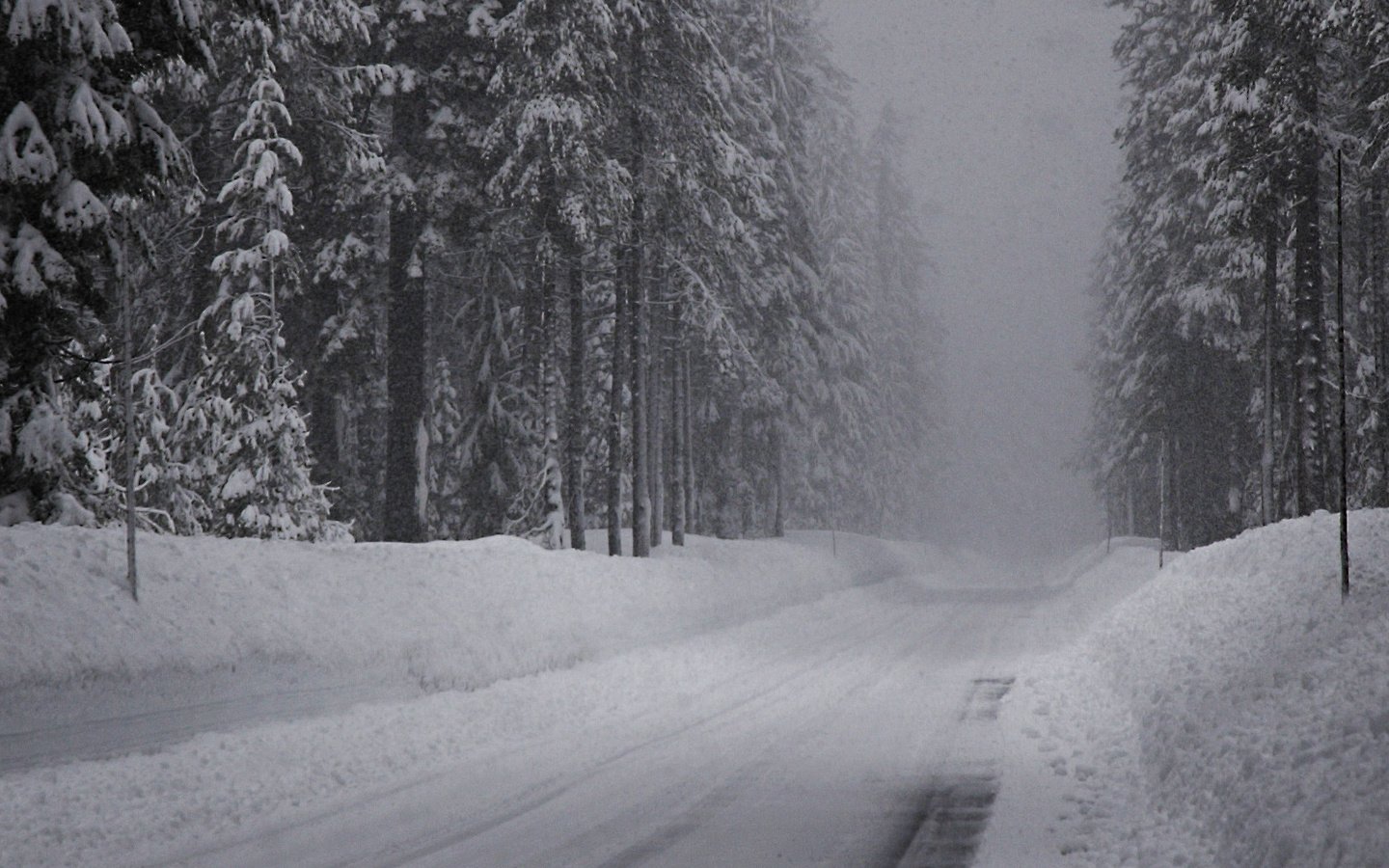 Обои дорога, снег, зима, ельник, road, snow, winter, spruce forest разрешение 2560x1024 Загрузить