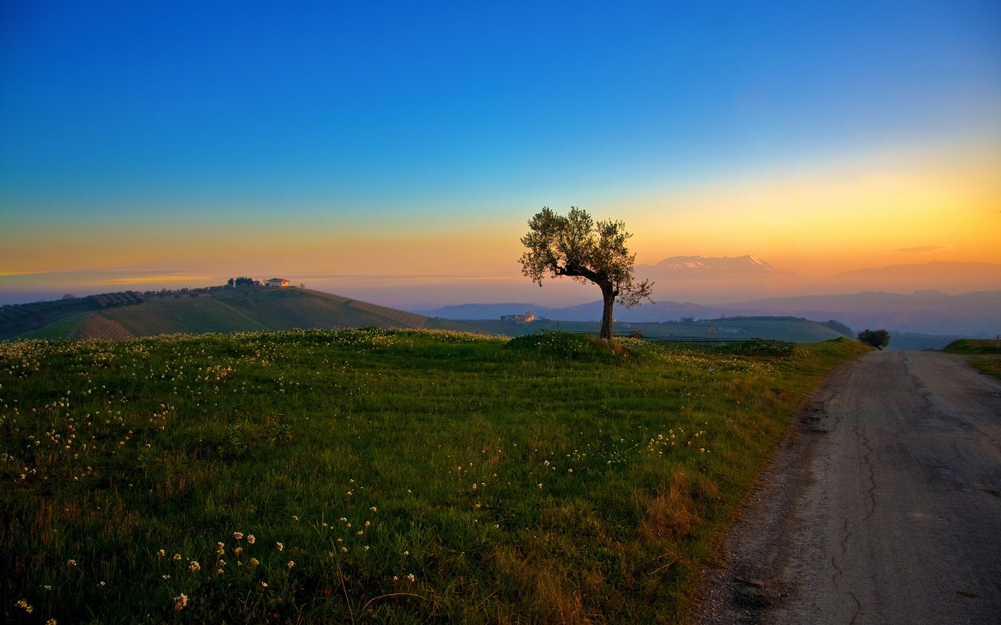 Обои дорога, трава, холмы, дерево, утро, road, grass, hills, tree, morning разрешение 2560x1600 Загрузить