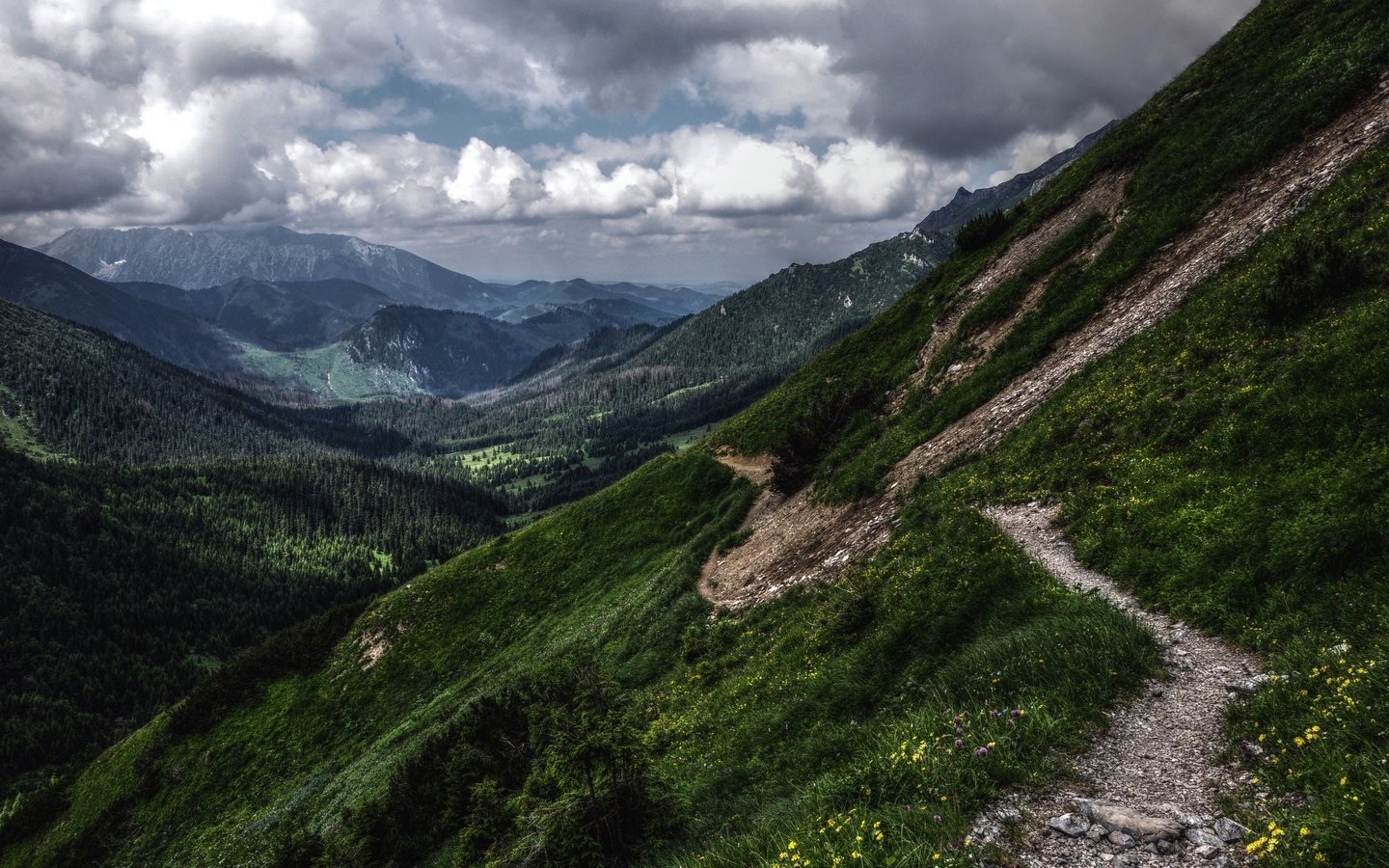 Обои горы, зелень, спуск, склон, тропа, hdr, татры, mountains, greens, the descent, slope, trail, tatras разрешение 2560x1600 Загрузить