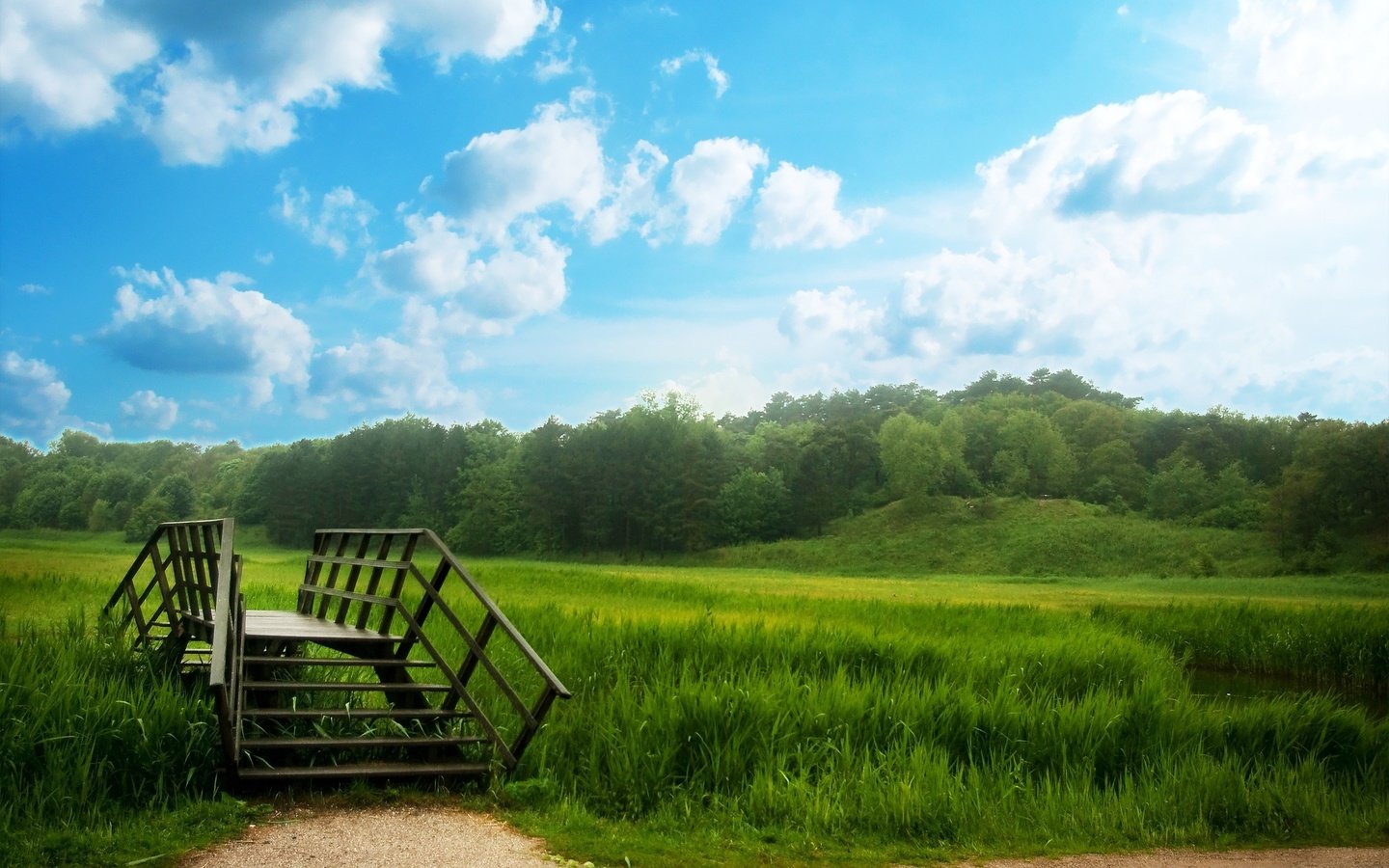 Обои трава, деревья, лес, мост, луг, grass, trees, forest, bridge, meadow разрешение 2560x1600 Загрузить