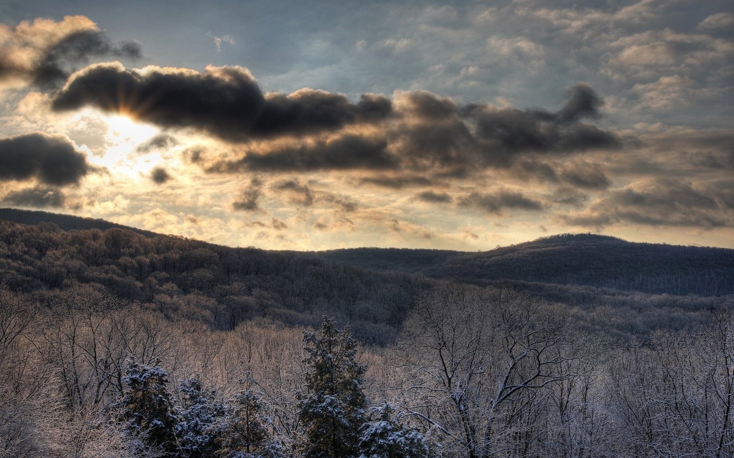 Обои небо, солнце, лес, зима, the sky, the sun, forest, winter разрешение 1920x1200 Загрузить