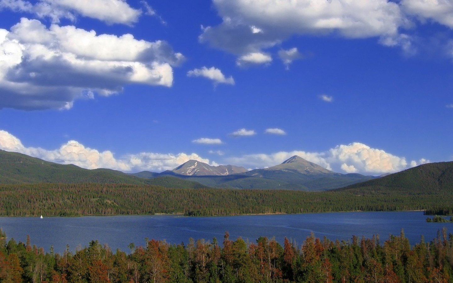 Обои облака, деревья, озеро, лес, clouds, trees, lake, forest разрешение 1920x1200 Загрузить