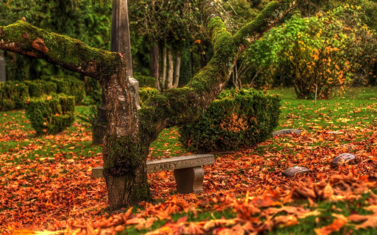 Обои листья, парк, осень, скамья, листопад, leaves, park, autumn, bench, falling leaves разрешение 1920x1080 Загрузить