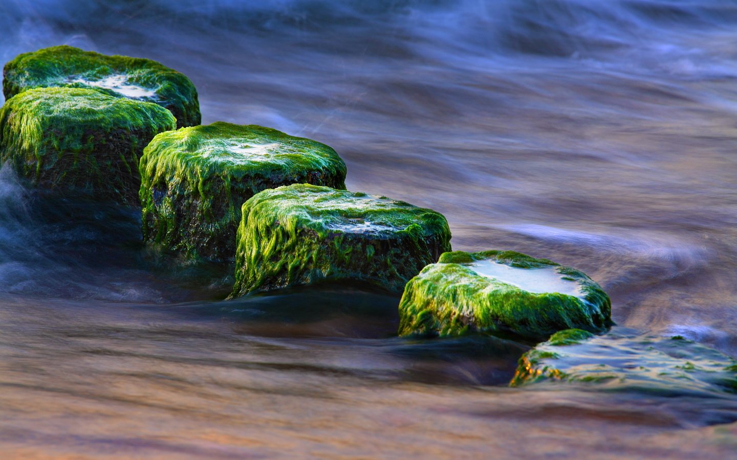 Обои вода, природа, камни, море, водоросли, крупным планом, water, nature, stones, sea, algae, closeup разрешение 1920x1200 Загрузить