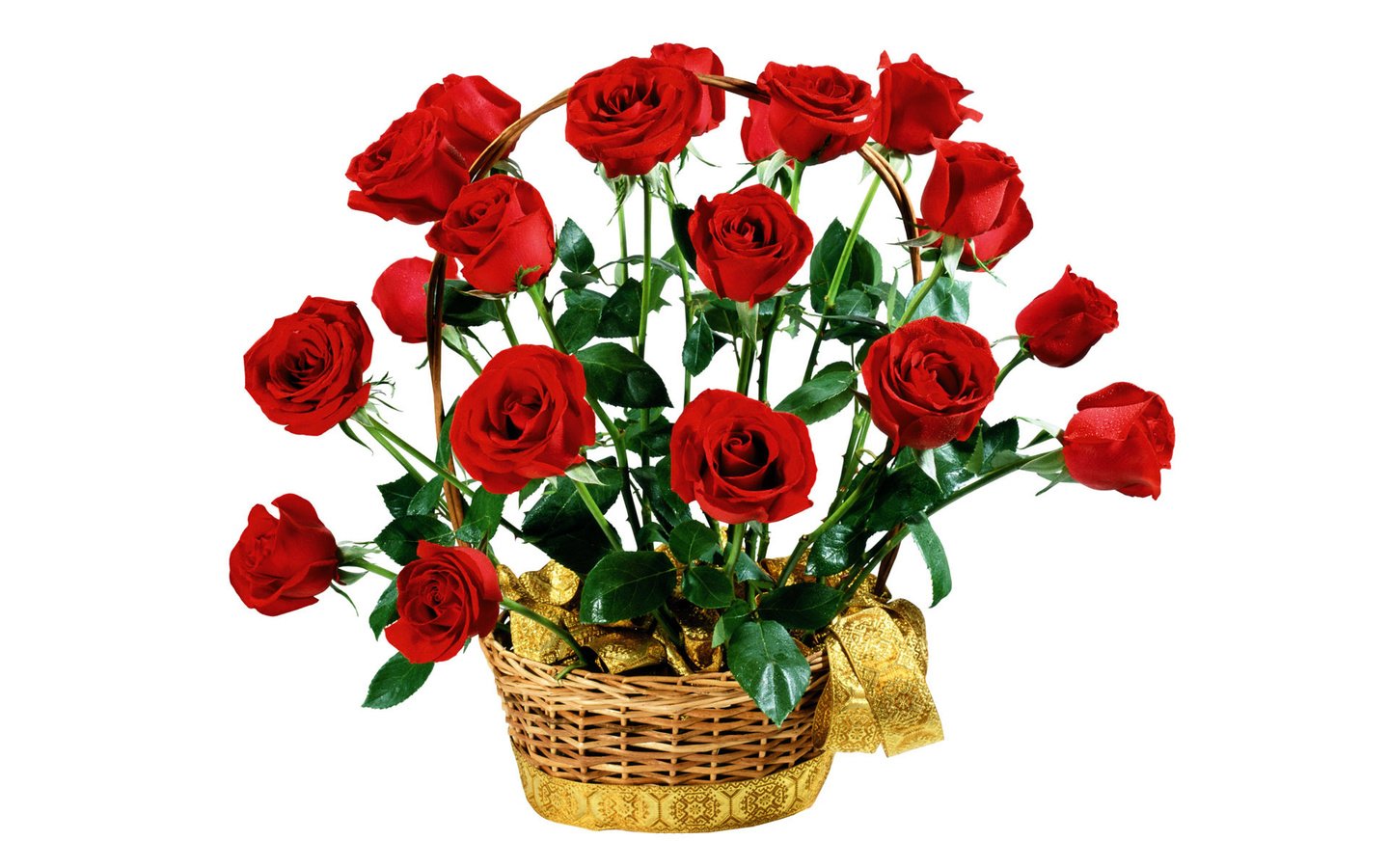 Обои цветы, розы, красные, букет, белый фон, подарок, flowers, roses, red, bouquet, white background, gift разрешение 1920x1200 Загрузить