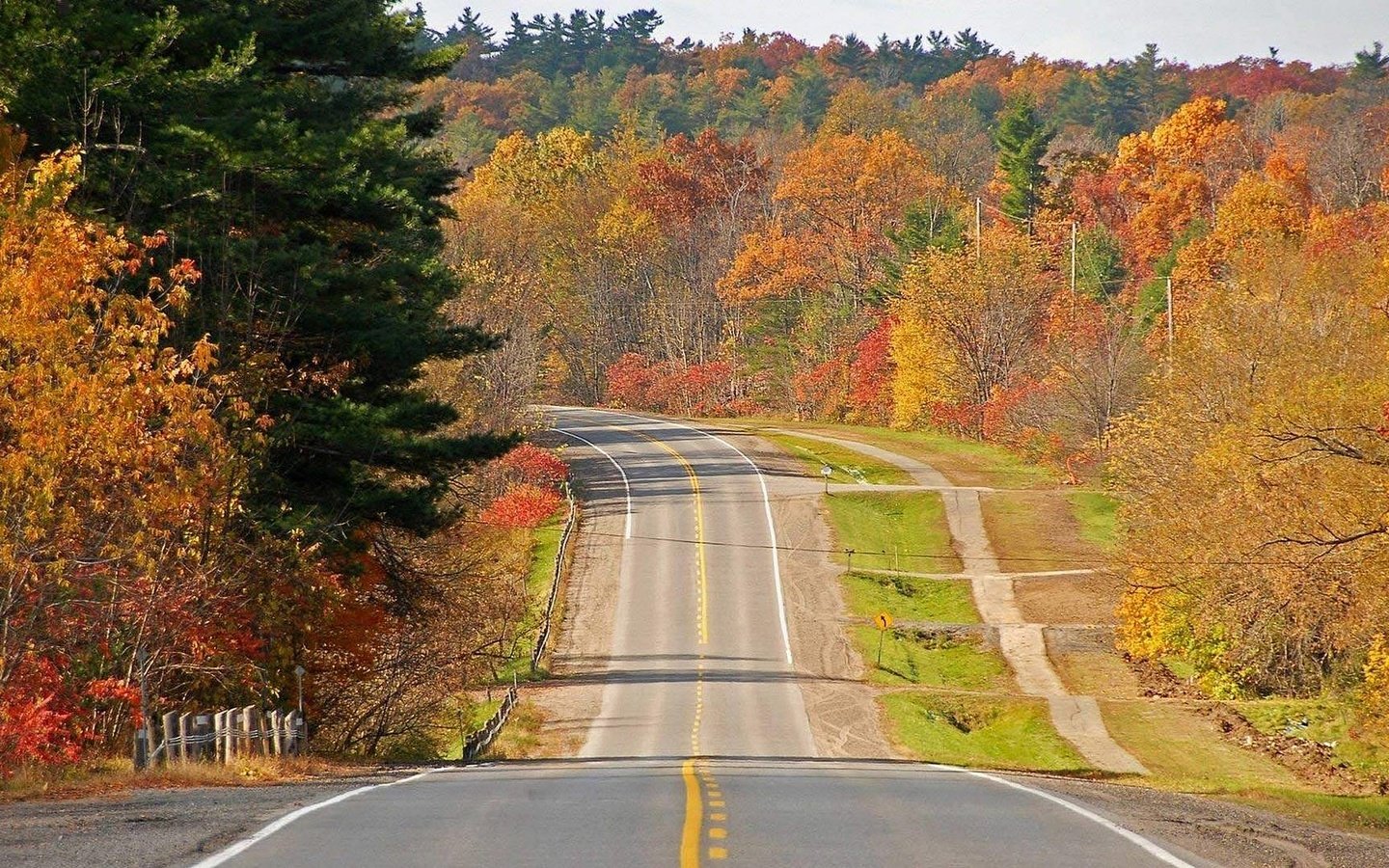 Обои дорога, деревья, лес, осень, road, trees, forest, autumn разрешение 1920x1080 Загрузить