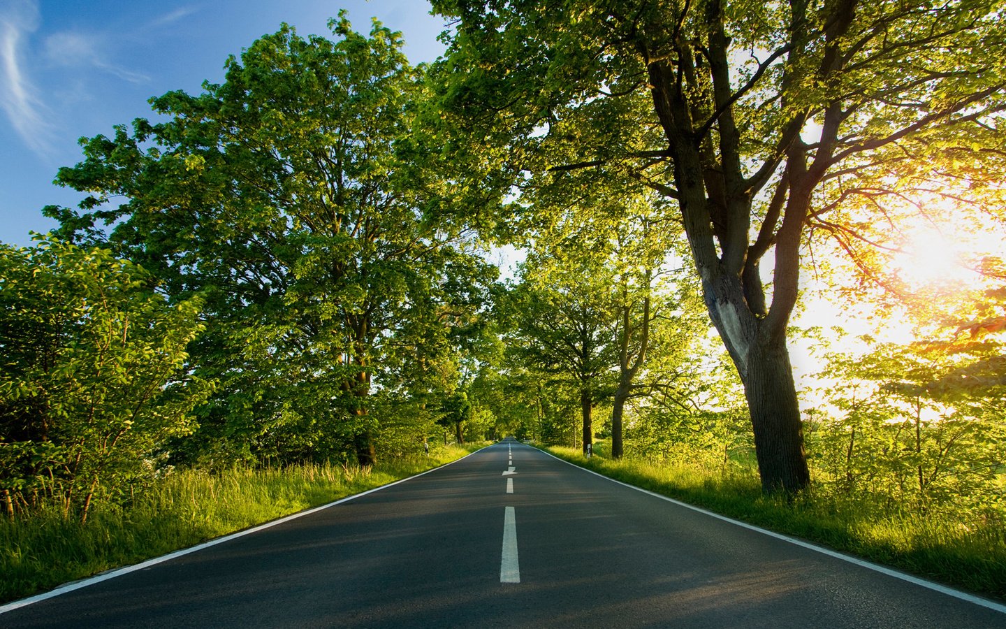 Обои дорога, деревья, листва, лето, разметка, road, trees, foliage, summer, markup разрешение 1920x1200 Загрузить