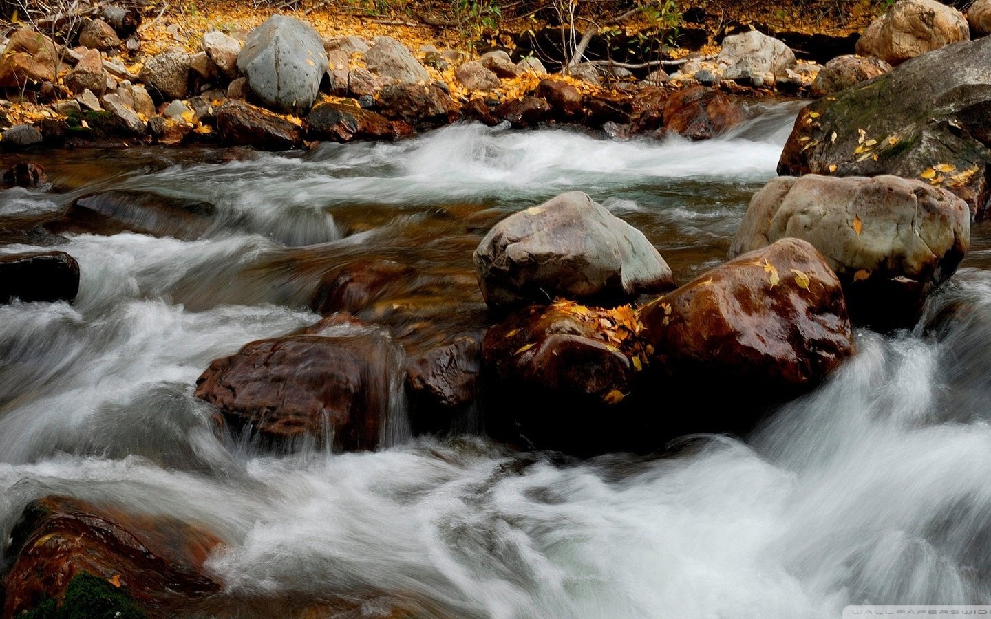 Обои река, природа, камни, листья, осень, river, nature, stones, leaves, autumn разрешение 1920x1080 Загрузить