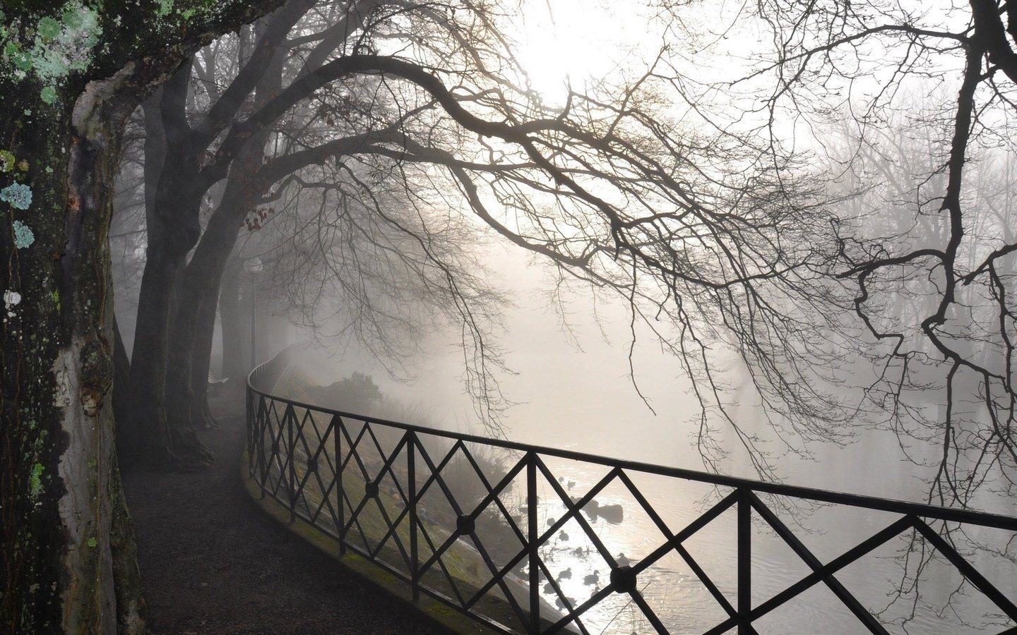 Обои деревья, река, парк, туман, рассвет, забор, trees, river, park, fog, dawn, the fence разрешение 1920x1080 Загрузить