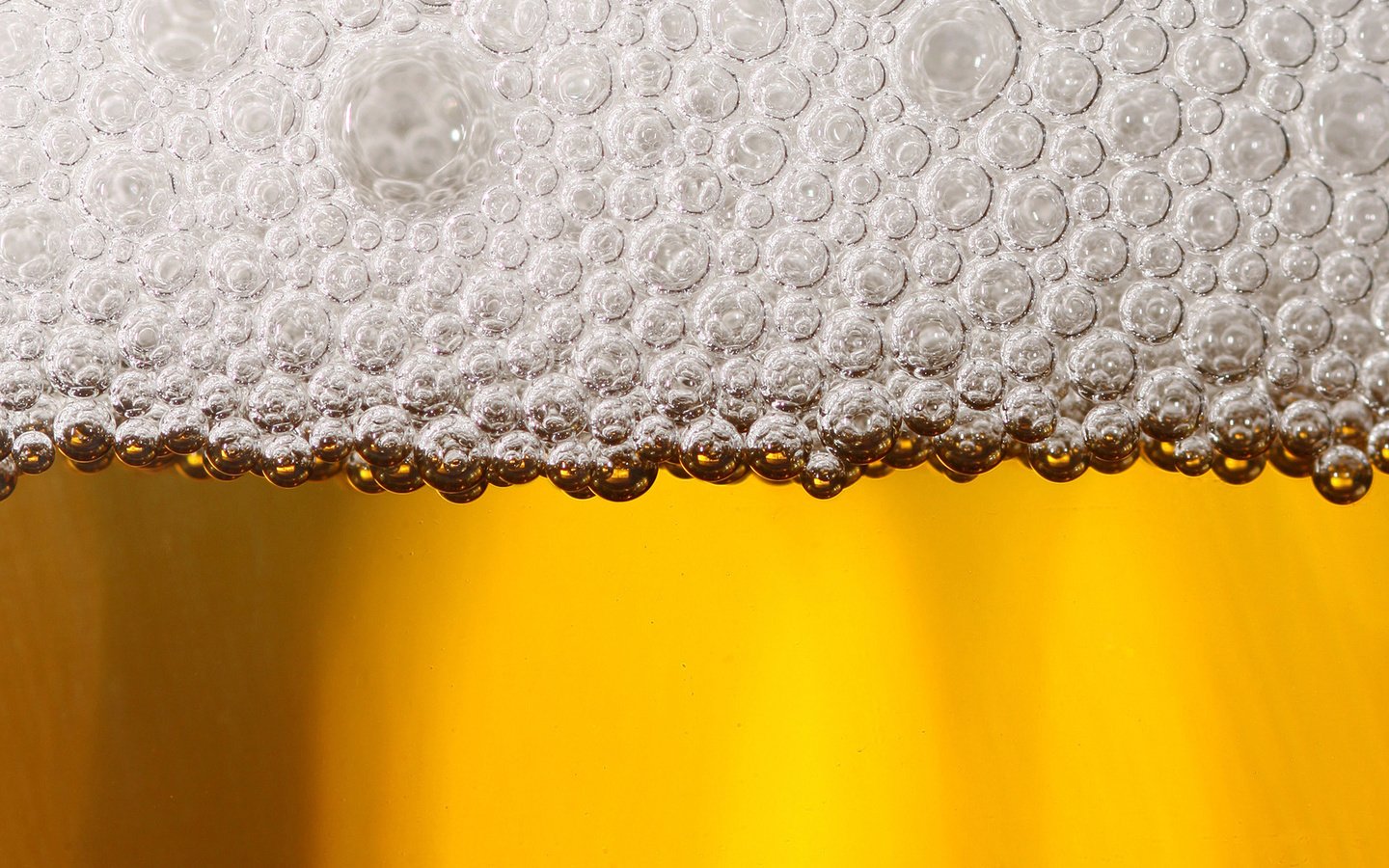 Обои макро, пиво, пена, macro, beer, foam разрешение 1920x1440 Загрузить