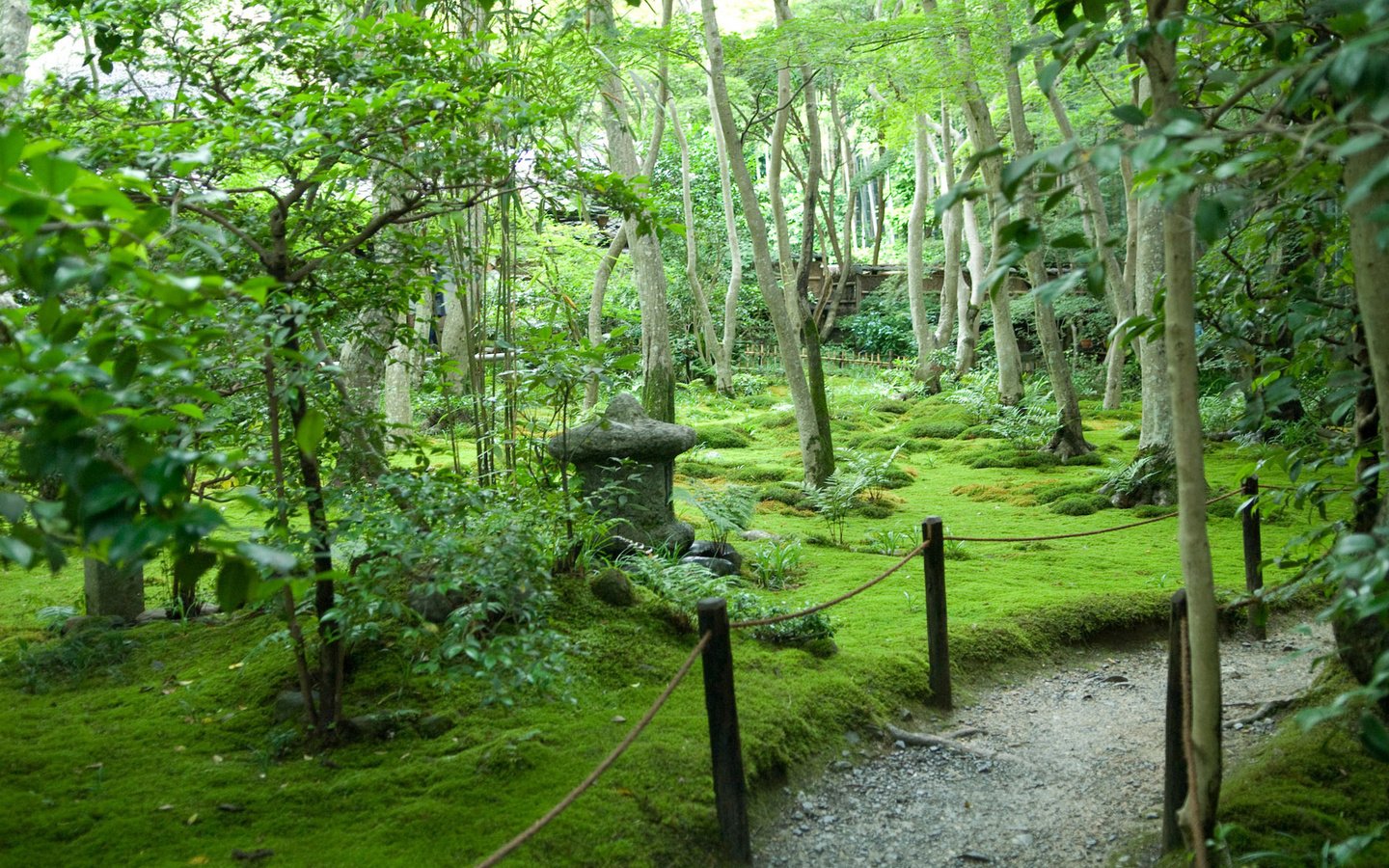 Обои деревья, лето, япония, сад, тропинка, trees, summer, japan, garden, path разрешение 1920x1200 Загрузить